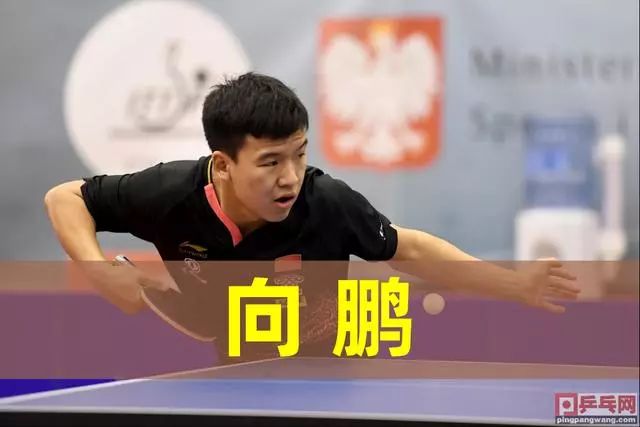 篮球路上 篮球路上