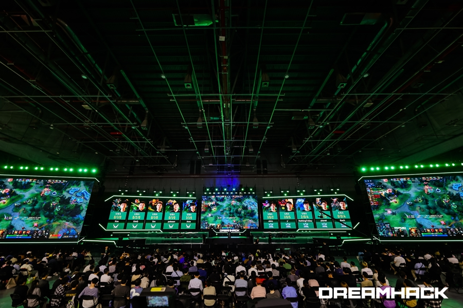 豪门的关注 豪门的关注