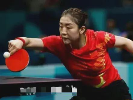 引了众多羽 引了众多羽